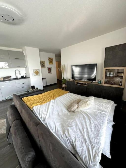 Superbe Appartement Proche De Strasbourg Bischheim Bagian luar foto